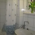 Silver Zamárdi